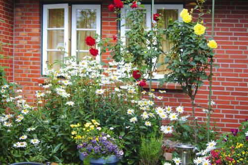 Apartamento Holiday Flat Oevenum - Dns10102f-p