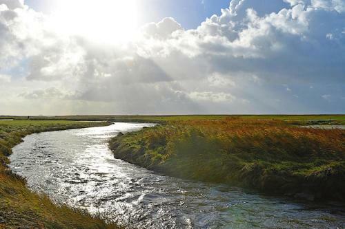 Apartamento Holiday Flat Oevenum - Dns10102f-p