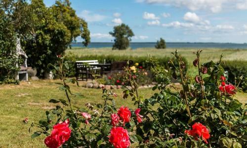 Apartamento Haus Am Bodden 03