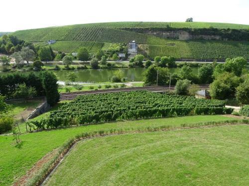 Apartamento Appartement Zum Moselufer