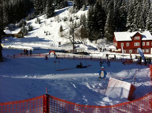 Apartm�n U Sjezdovky Javor