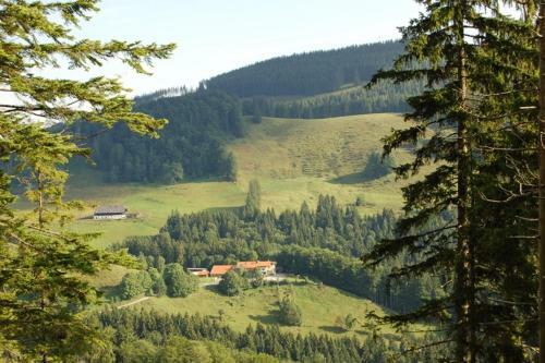 Apartamento Berggasthaus Steinberg-alm