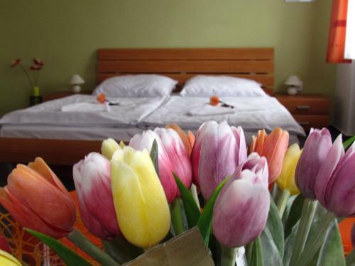 Hostal Penzion Oregano T?ebo?