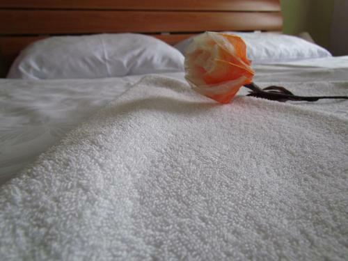 Hostal Penzion Oregano T?ebo?