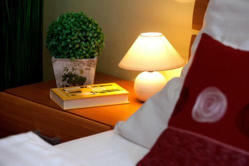 Hostal Penzion Oregano T?ebo?