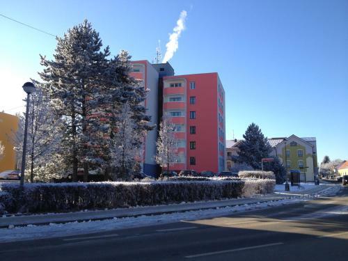 Apartm�n Sportovn�