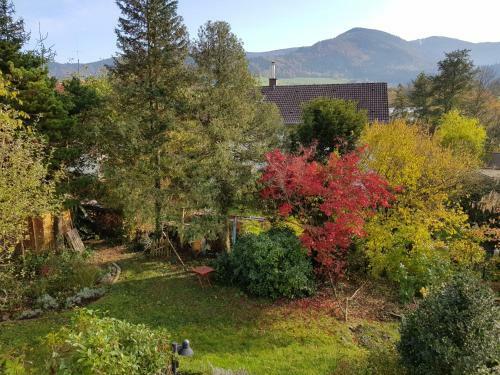Apartamento Ferienwohnung Kandelhexe