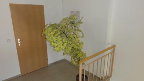 Hostal Penzion U Hradeb