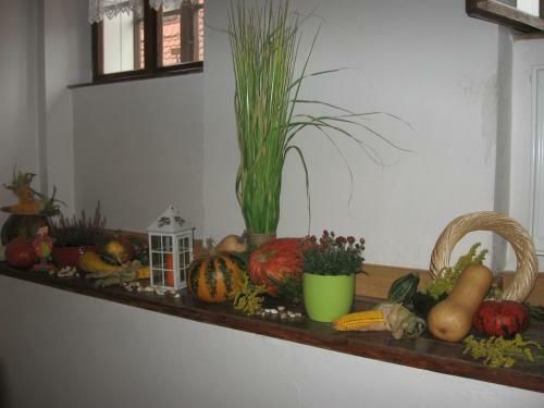 Hostal Pension Archa