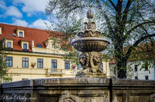Hotel Hejtmansk� Dv?r