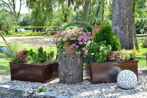 Hostal Penzion Ml�n Sedlec