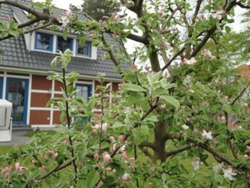 Apartamento An Der Feuerwache 1 _steuermanns A