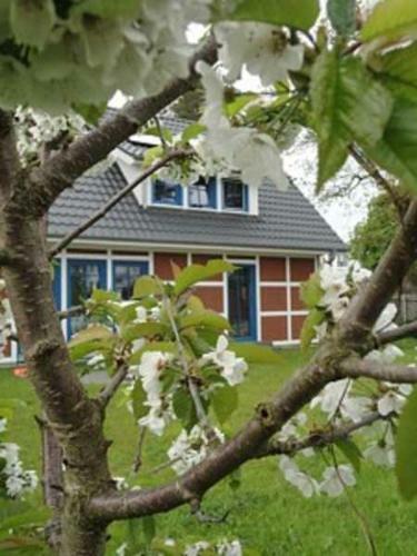 Apartamento An Der Feuerwache 1 _steuermanns A