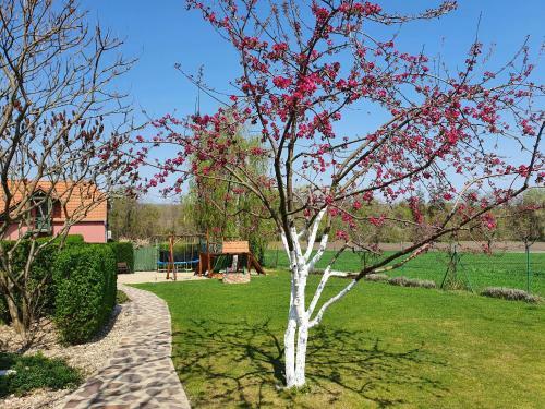 Apartamento Penzion Na Lednick�