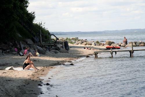 Dancamps Trelde Naes (camp Site)