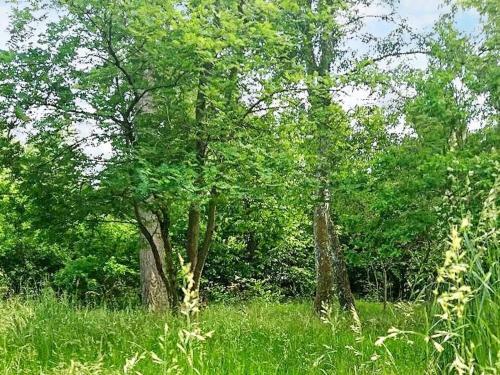 Holiday Home Frederiksv�rk X