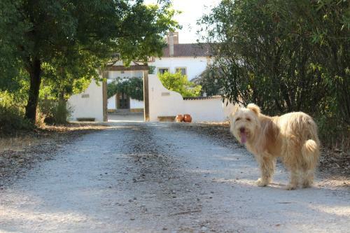 Hostal Quinta Do Valle