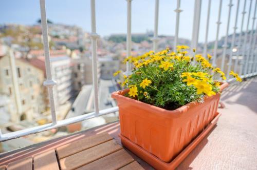 Martim Moniz Apartment