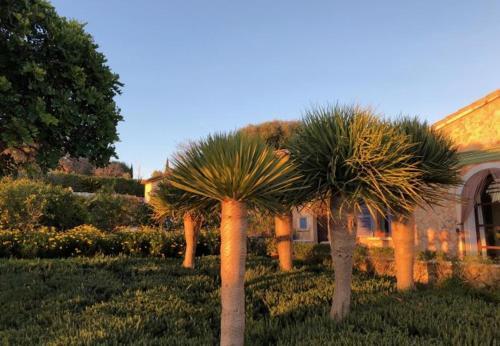 Arta Holiday Home Sleeps 12 With Pool And Wifi