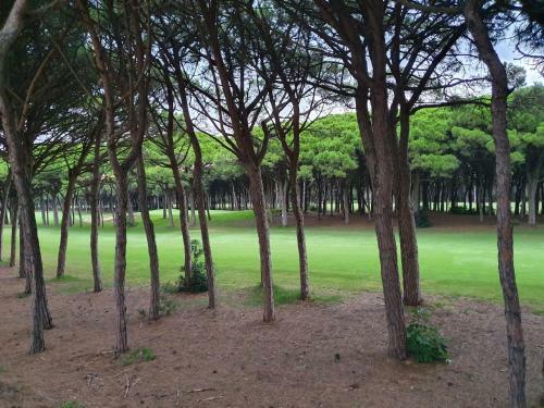 Nice Apartment In Pals Beach - Girona - Spain