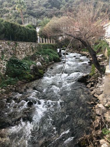 Apartamento Casa Rural Las Rosas de Benaojan