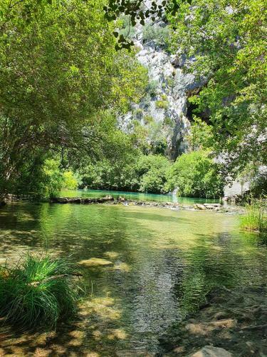 Apartamento Casa Rural Las Rosas de Benaojan