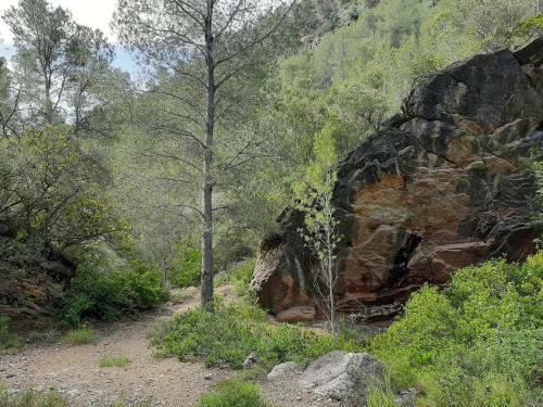 Agroturismo La Caseta de Mollet