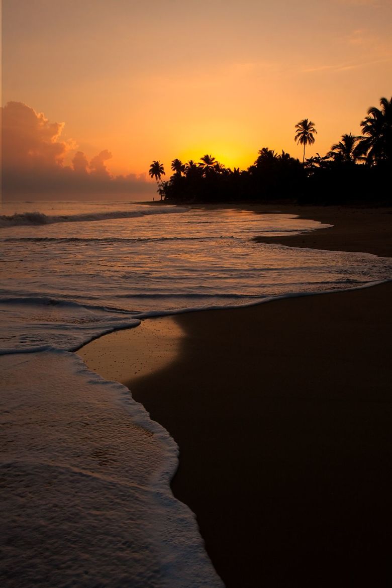 Hotel Punta Cana Resort And Club