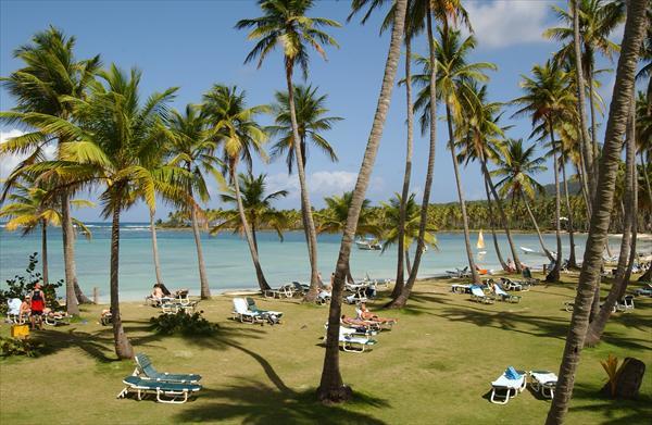 Hotel Grand Paradise Samana