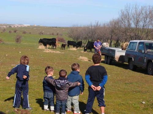 Agroturismo El Mirador de La Cig�e�a