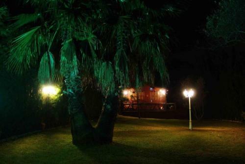 Club Villamar - Nou Garden