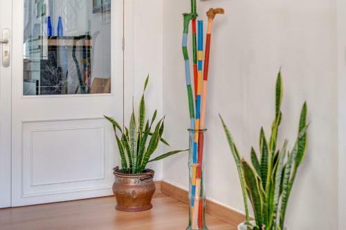 Villa Magdalena Peque�a