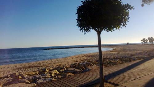 Apartamento Wvp - California