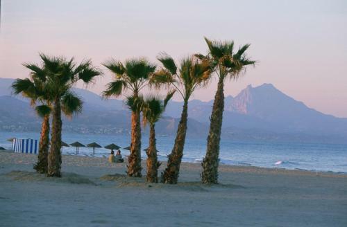 Alicante Sunbeach Chalet