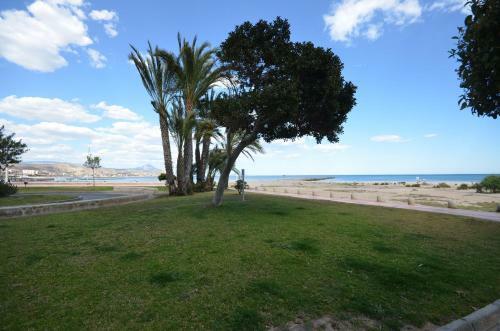 Apartamento Amanecer Ref 235