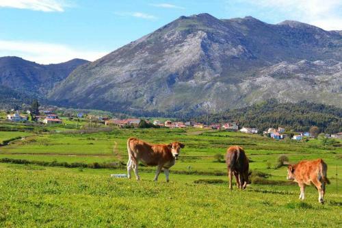 Apartamento Encanto Del Sella