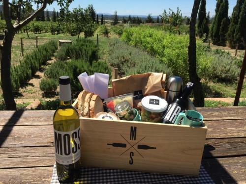 Agroturismo El Recer de Masia Serra