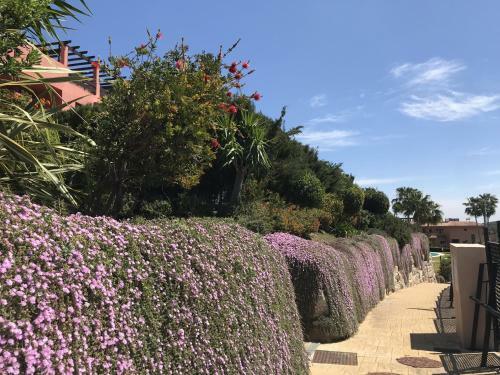 Apartamento 2279-lovely 2 Bedrooms With Terrace With Views