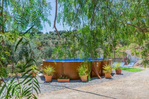 Cubo's Finca Los Vi�azos