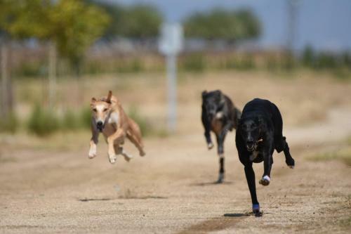 Apartamento Cuadrina Barbancho