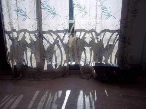 Casa Con Arte En El Pirineo