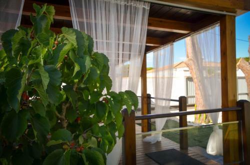 Apartamento Casas Pinar Del Eden Norte