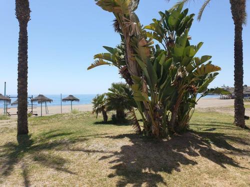 Spacious, Relax, Garden, Nature, Pool, Golf, Beach