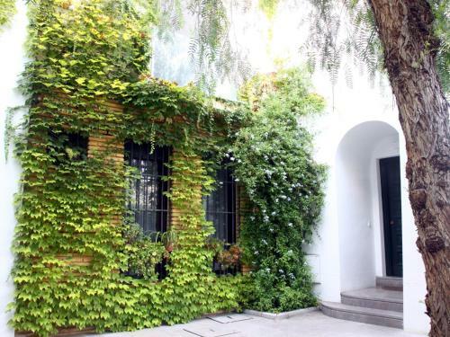 Apartamento La Mejor Ubicaci�n de C�rdoba