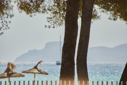 Hotel Sofia Alcudia Beach