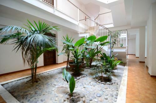 Apartamento Jardins Del Mar 48