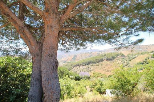 Villa Rosa Spainsunrentals 1075