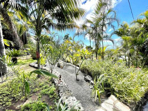 One Bedroom Apartment, Ocean View, Fuencaliente