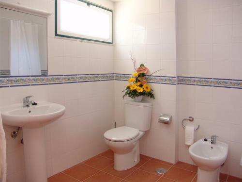 Aparthotel Oleandro Apartamentos Turisticos