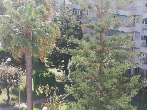 Apartamento Parque IV